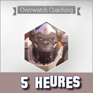 COACHING COACH OVERWATCH OW TOP PRO CS:GO MANAGER