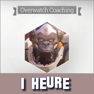 Coaching coach Overwatch Ow Cs:GO Pro